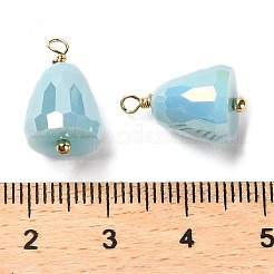 Glass Pendants&nbsp;KK-M266-03G