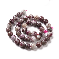 Natural Plum Blossom Tourmaline Beads Strands&nbsp;G-P477-01C-01