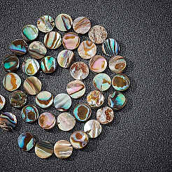 Natural Abalone Shell/Paua Shell Beads&nbsp;SSHEL-BC0001-09