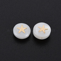 Natural Freshwater Shell Beads&nbsp;SHEL-S278-063