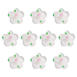 10Pcs Handmade Lampwork Beads&nbsp;LAMP-TADJ0001-01B