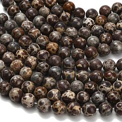 Natural Astroite Jasper Beads Strands&nbsp;G-H329-C02-10mm