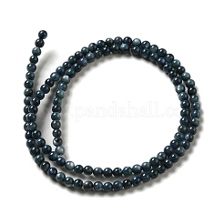Natural Freshwater Shell Beads Strands&nbsp;SHEL-H003-03C