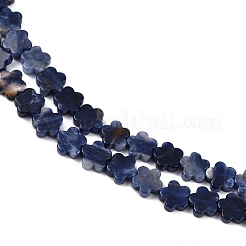 Natural Sodalite Beads Strands&nbsp;G-B138-C12-01