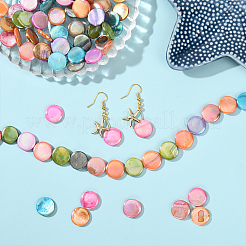 4 Strands Natural Freshwater Shell Beads Strands&nbsp;SHEL-SC0001-81