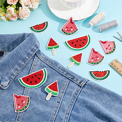 20Pcs 4 Styles Watermelon Nylon Computerized Embroidery Cloth Iron on/Sew on Patches&nbsp;DIY-HY0002-87