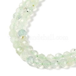 Natural Prehnite Beads Strands&nbsp;LS-G-G139-A05-03