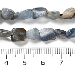 Natural Kyanite Beads Strands&nbsp;G-P497-01C-60