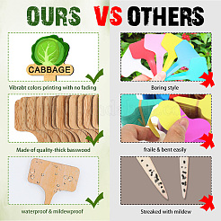 15Pcs 15 Style Wood Plant Labels&nbsp;WOOD-WH0133-001