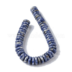 Natural Blue Spot Jasper Beads Strands&nbsp;G-F743-06L