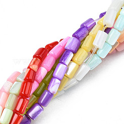 Natural Freshwater Shell Beads Strands&nbsp;SHEL-N003-26