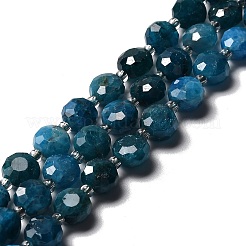 Natural Apatite Beads Strands&nbsp;G-B153-A05