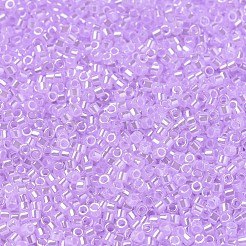 MIYUKI Delica Beads&nbsp;SEED-JP0008-DB0248