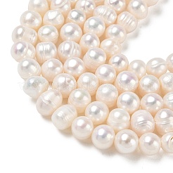 Natural Cultured Freshwater Pearl Beads Strands&nbsp;PA-CBAC463-01