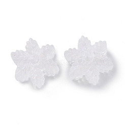 Transparent Acrylic Beads&nbsp;OACR-P007-30