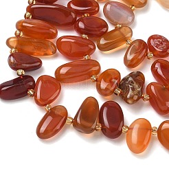 Natural Red Agate Beads Strands&nbsp;G-P604-A14-01