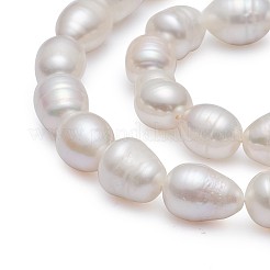 Natural Cultured Freshwater Pearl Beads Strands Rice&nbsp;A23TR011