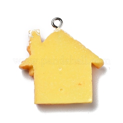 Opaque Resin Pendants&nbsp;LS-RESI-D055-123P
