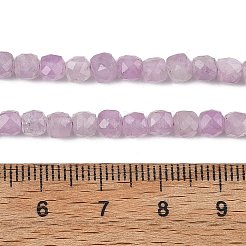 Natural Kunzite Beads Strands&nbsp;G-P587-C01-01A