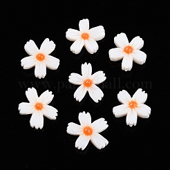 Natural Freshwater Shell Beads Strands&nbsp;X-SHEL-F004-04-01