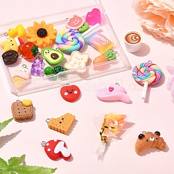 24Pcs 24 Styles Resin Pendants Sets&nbsp;RESI-YW0003-23