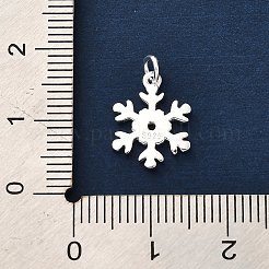 925 Sterling Silver Pendants&nbsp;FIND-Z069-04S-B