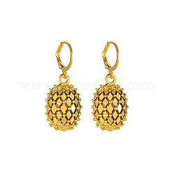 Zinc Alloy Hoop Earrings&nbsp;FS-WG55202-01
