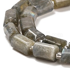 Natural Labradorite Beads Strands&nbsp;G-G068-A10-01