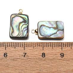 Natural Abalone Shell Pendants&nbsp;SH-CJC0AC7-01H-G