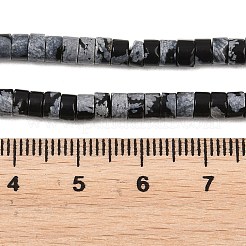 Natural Snowflake Obsidian  Beads Strands&nbsp;G-F631-A04