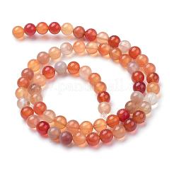 Natural Carnelian Bead Strands&nbsp;G-R412-29-6mm