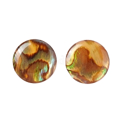 Paua Shell Cabochons&nbsp;SSHEL-C008-08