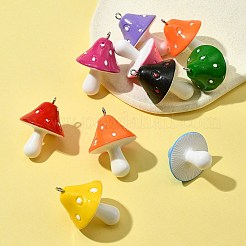 10Pcs Resin Pendants&nbsp;RESI-FS0001-62