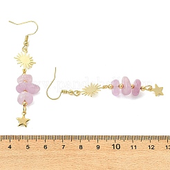 304 Stainless Steel Dangle Earrings&nbsp;EJEW-JE07301-01
