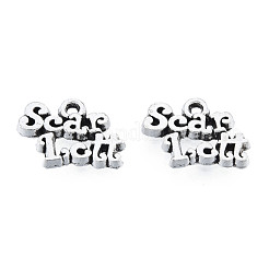 Tibetan Style Alloy Charms&nbsp;TIBEP-N012-05
