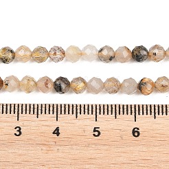 Natural Rutilated Quartz Beads Strands&nbsp;G-RM250104-E2