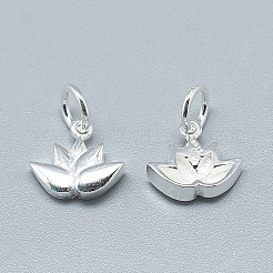 925 Sterling Silver Charms&nbsp;X-STER-T002-117S