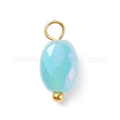 Electroplate Glass Pendants&nbsp;PALLOY-JF01541-01