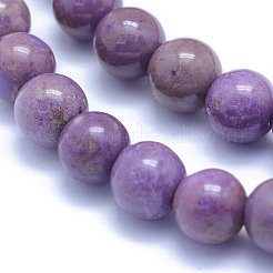 Natural Lepidolite/Purple Mica Stone Beads Strands&nbsp;G-L552H-09B