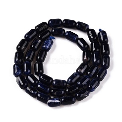 Natural Sodalite Beads Strands&nbsp;G-G980-37A