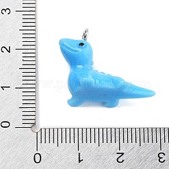 Resin Pendants&nbsp;RESI-Q002-01D