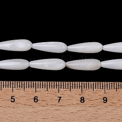 Natural Freshwater Shell Beads Strands&nbsp;SHEL-A004-03A