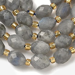 Natural Labradorite Beads Strands&nbsp;G-F809-A47-01