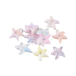 Luminous Resin Decoden Cabochons&nbsp;RESI-K036-14