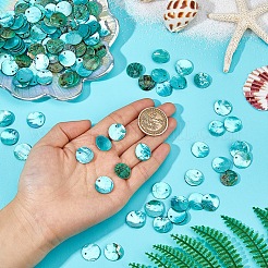 Natural Akoya Shell Dyed Disc Charms&nbsp;SHEL-WH0005-05C