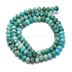 Natural HuBei Turquoise Beads Strands&nbsp;G-G106-A44-03