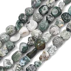 Natural Tree Agate Beads Strands&nbsp;G-D362-A01