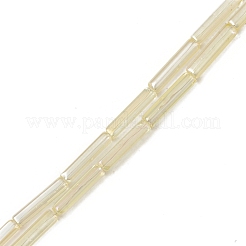 Electroplate Glass Beads Strands&nbsp;EGLA-L044-I