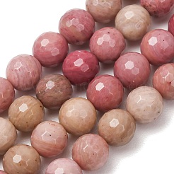 Natural Rhodonite Beads Strands&nbsp;G-E571-01B