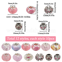 120Pcs 12 Styles Resin European Beads&nbsp;FIND-SC0010-24A